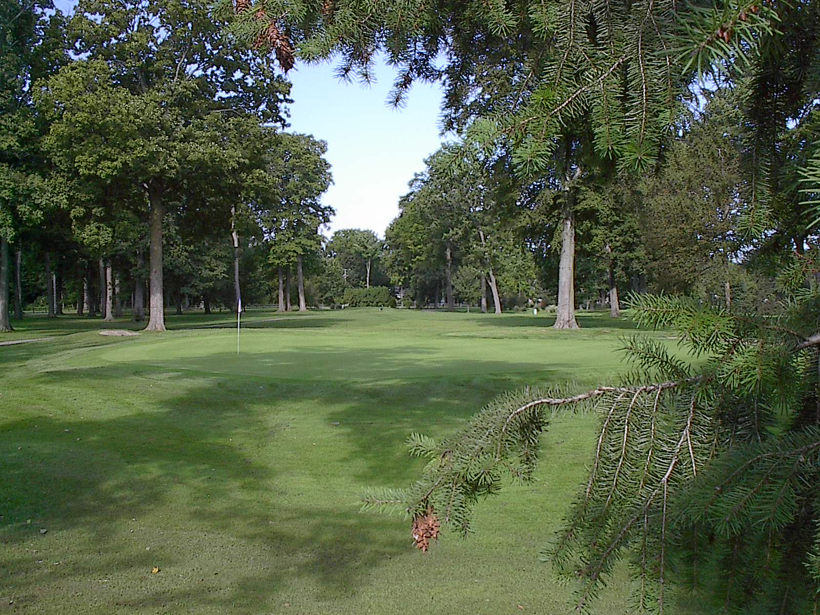 Gallery Beechwood Golf Course